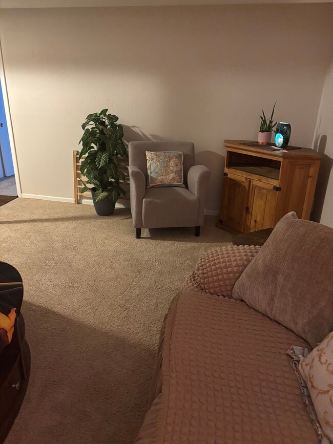 Living room - 3740 E 99th Way
