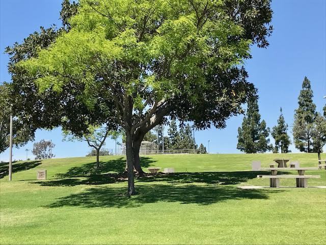 Foto del edificio - Enjoy the location and layout of this 2 BR, 1.5 BA at Gold Creek Townhomes.