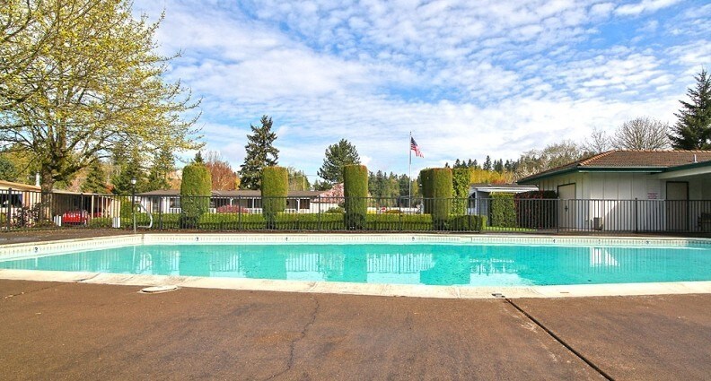 Pool - Shadowbrook