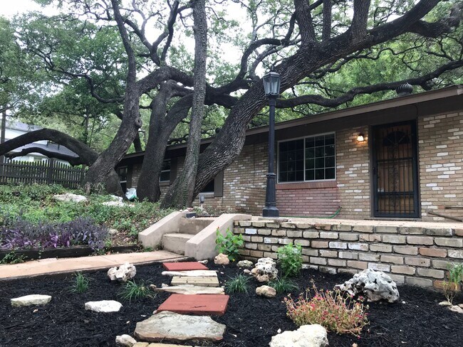 Dramatic front yard with towering oaks - 1304 Kenwood Ave