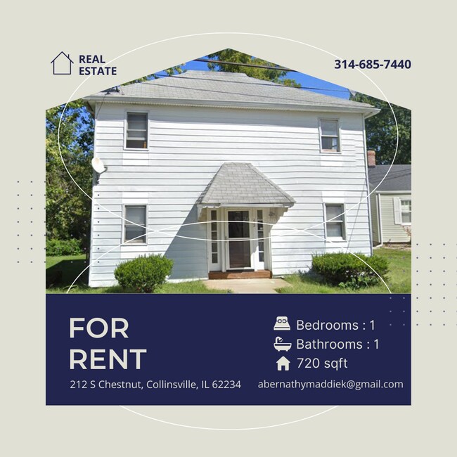 212 S Chestnut St Unit 3, Collinsville, IL 62234 212 S Chestnut St