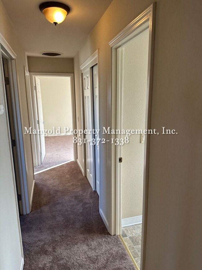 Building Photo - 1126 Sunnyhill Ct