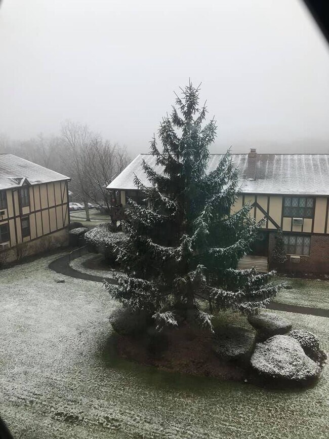 Foto del edificio - 478 Sierra Vista Ln