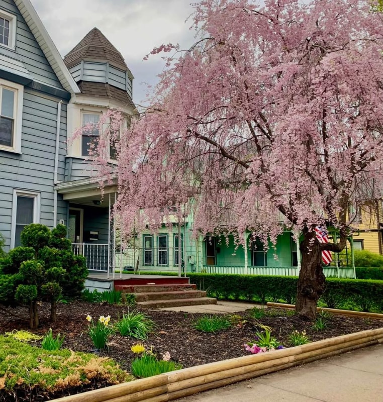 Foto principal - 307 N Main St