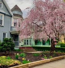 Building Photo - 307 N Main St