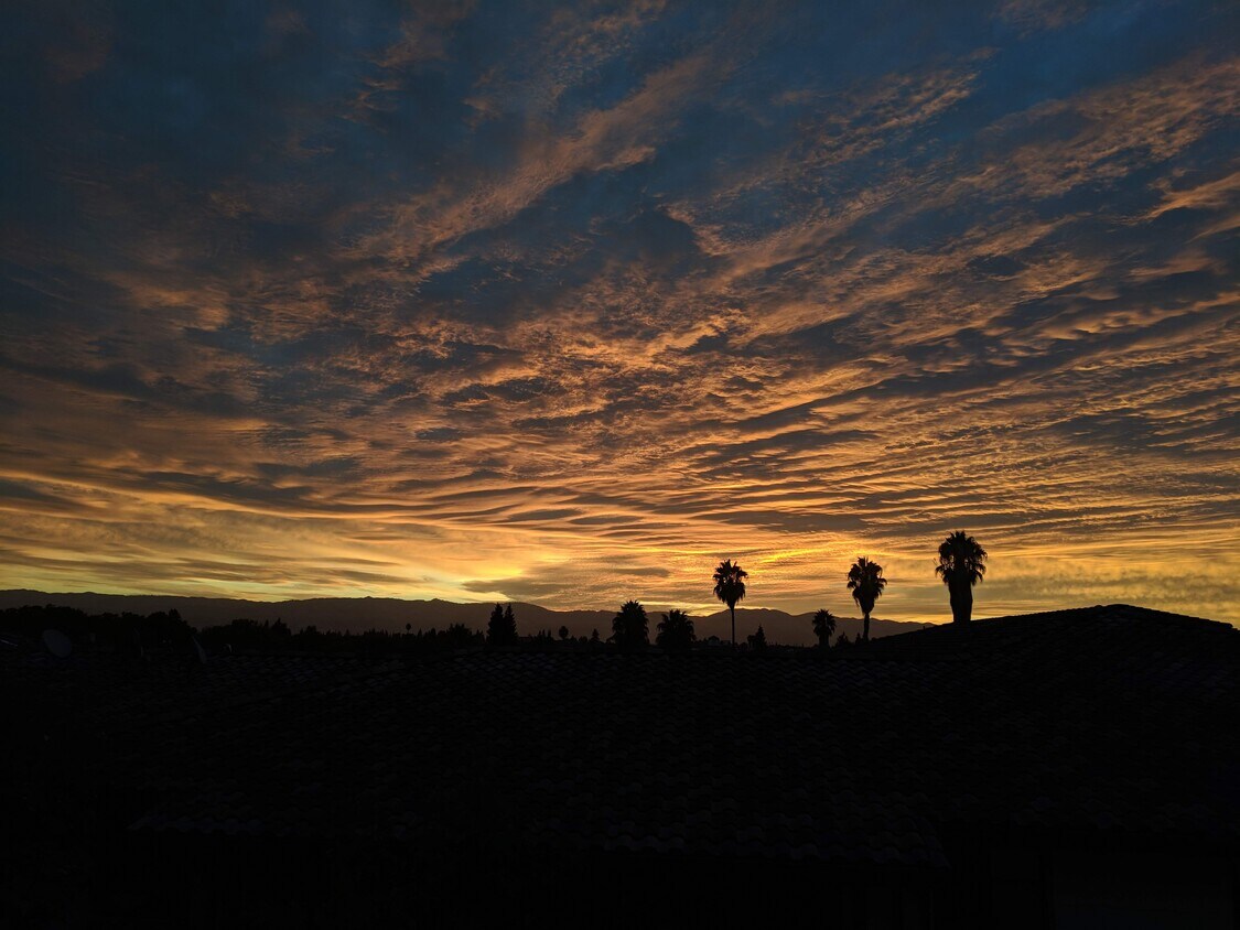 View from Balcony - 2585 El Camino Real