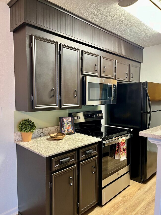 Estufa de superficie lisa de acero inoxidable - 66 Dogwood Ln