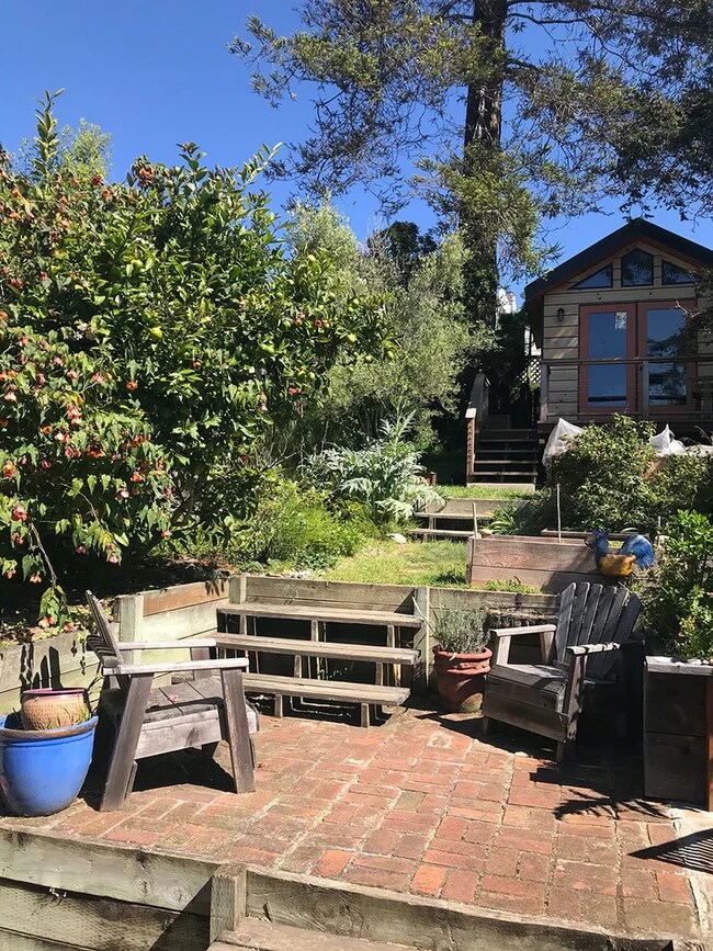 backyard - 136 Marston Ave