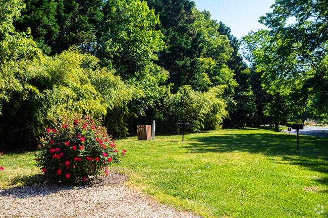 Área de parrillas - Amber Ridge Apartments ~ Boutique Cottage Style Living Meets Hassle Free Leasing