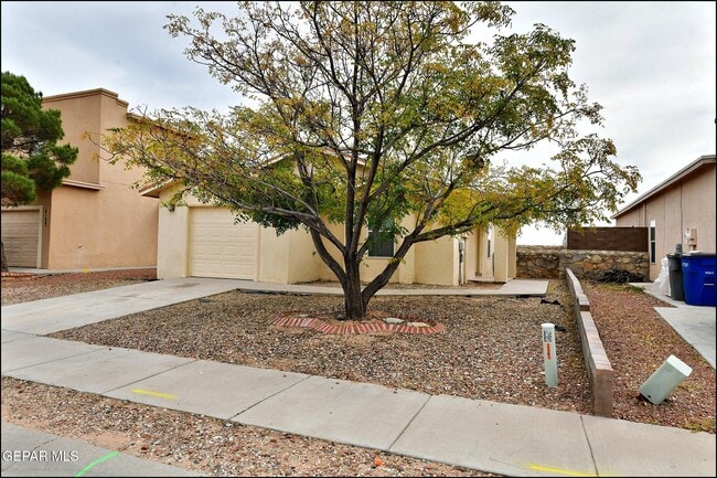 Foto del edificio - 14164 Robert Ituarte Dr