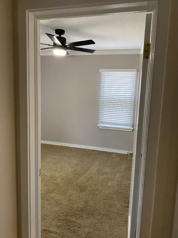 Building Photo - 2629 Glenmare St