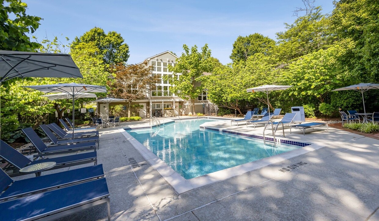 Take a dip in our pool - Burke Shire Commons Apartments