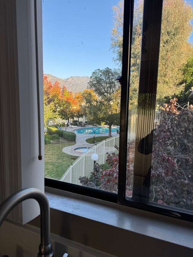 Vista desde el fregadero de la cocina - 10512 Sunland Blvd