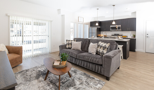 Living Room/Kitchen - Lex Apartments