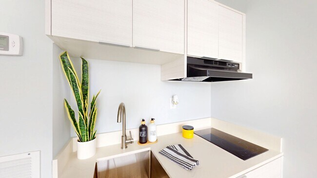 Interior Photo - The Bowie Apartments