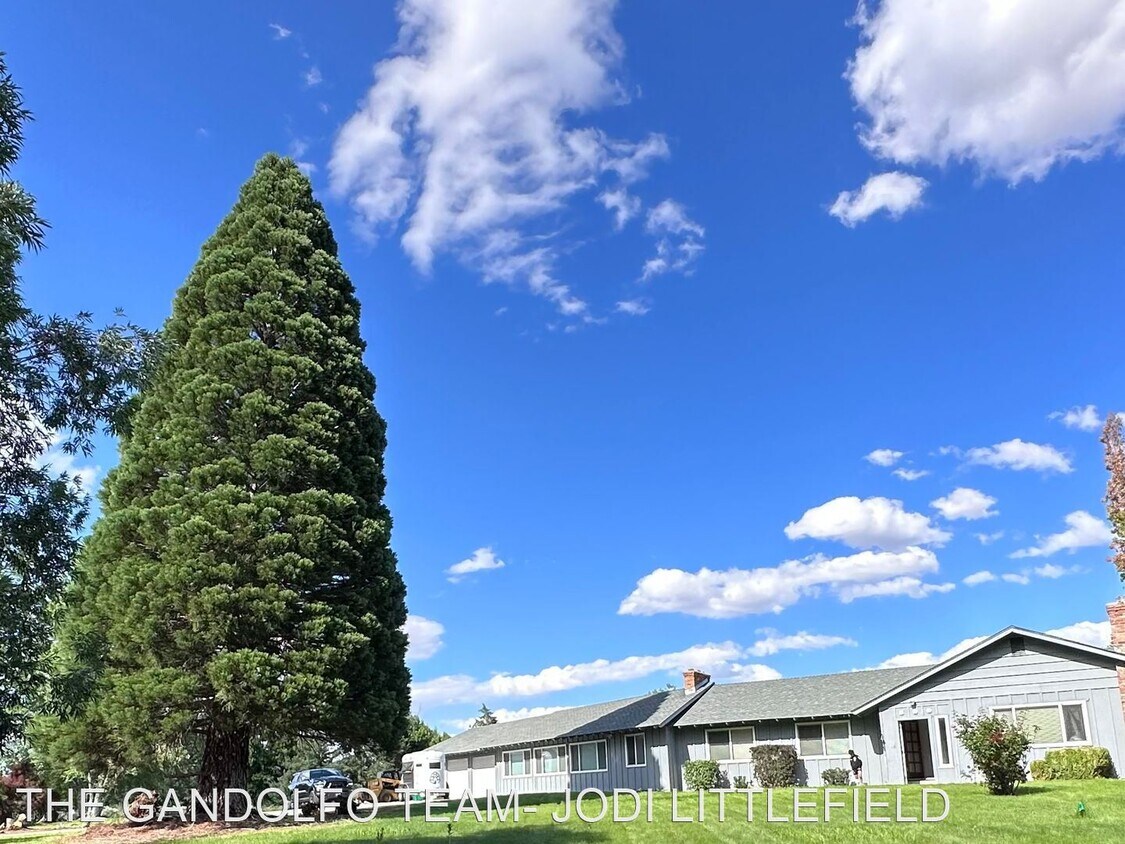 Primary Photo - 3 br, 2 bath House - 305 N Moana Lane