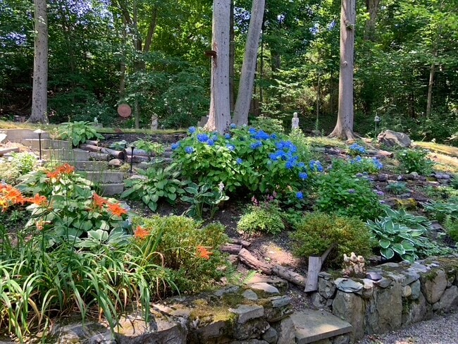 back yard - 186 Winchester St House