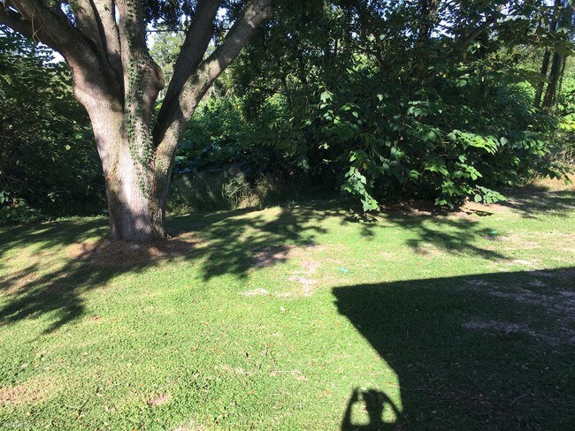 Foto del edificio - 3 br, 2 bath House - 9012 Ava Lake Dr