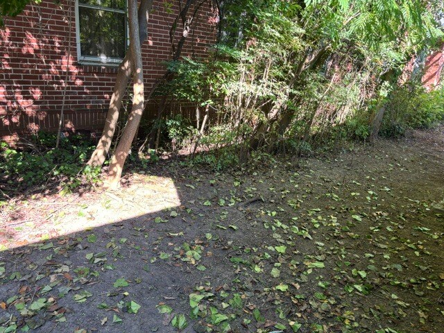 Foto del edificio - 1029 Kinard Ct