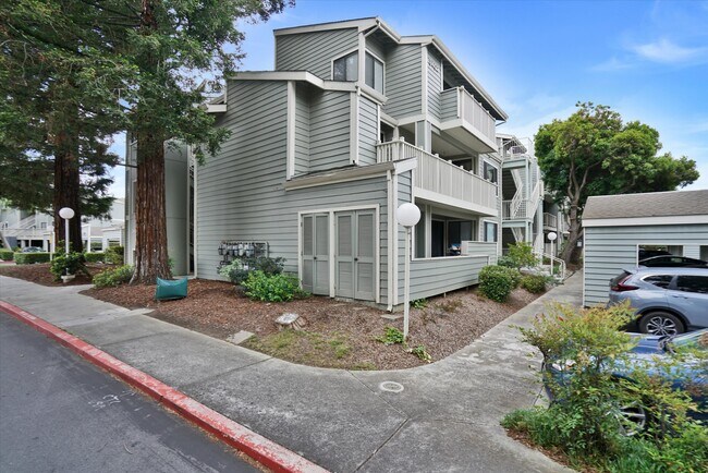 Building Photo - 3402 Pinewood Terrace