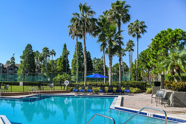 Piscina y solárium estilo resort - WillowBrooke Apartments