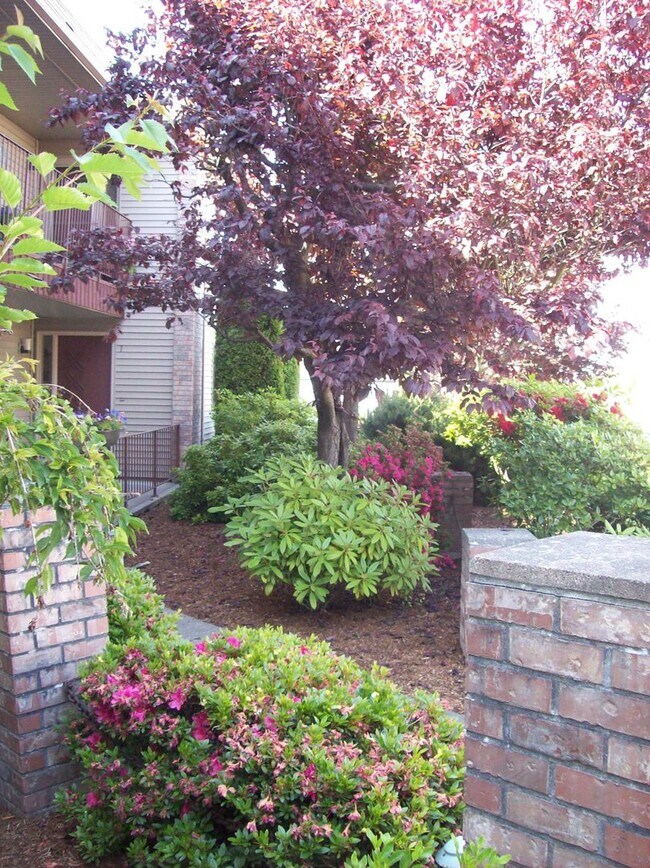 Foto del edificio - Price Reduction!  Two 2 bedroom Condo with...