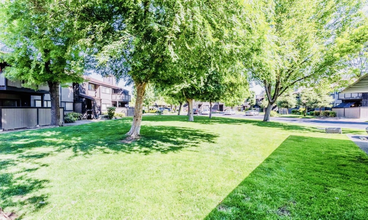 1151 S Chestnut Ave Unit 265, Fresno, CA 93702 Condo for Rent in