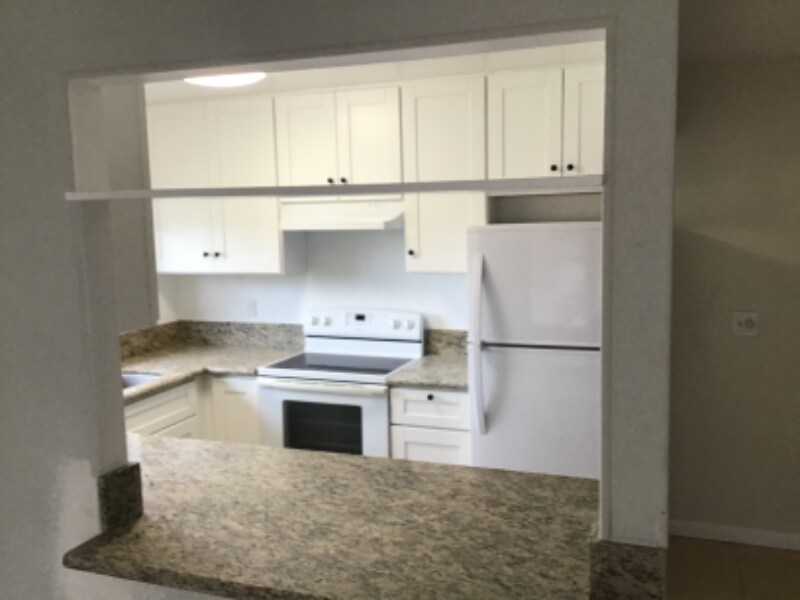 Primary Photo - 43 Tamarindo Way