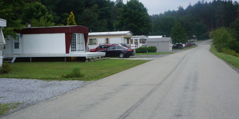 Primary Photo - Pine Crest