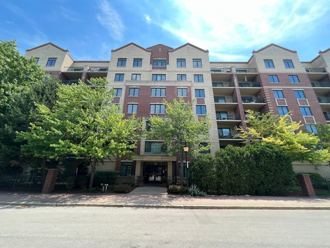 11 S Wille St Unit 309, Mount Prospect, IL 60056 Condo for Rent in