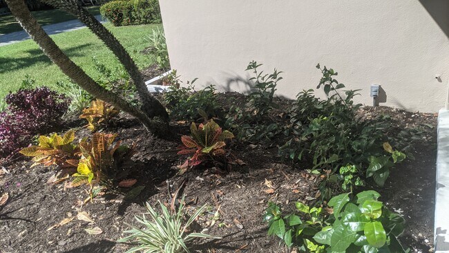 Foto del edificio - 2042 Harley Ave