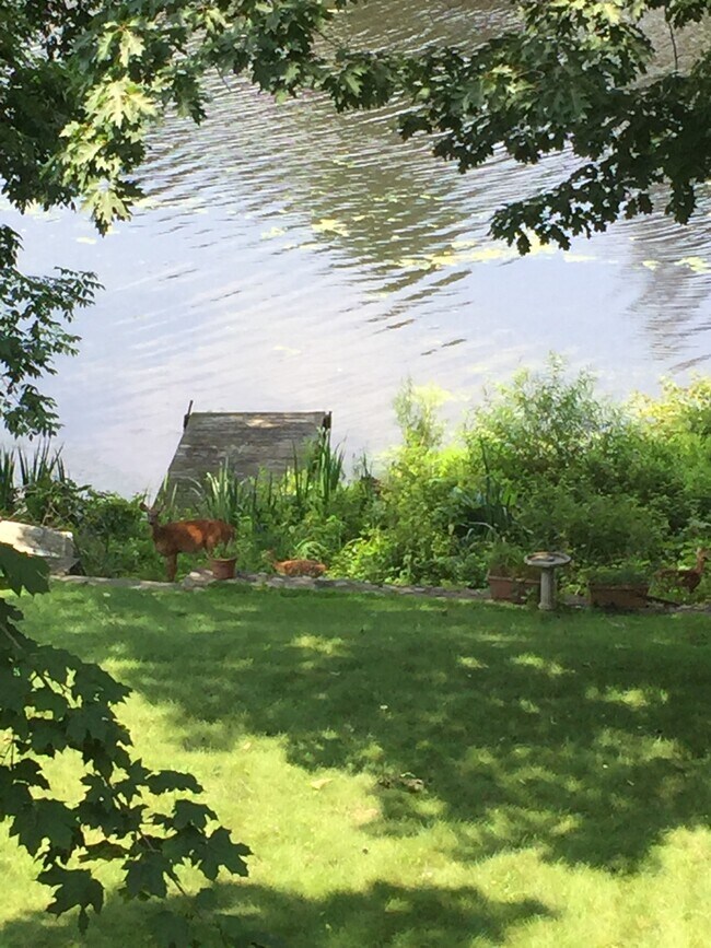 196 Sheephill Rd, Riverside, CT 06878 House Rental in Riverside, CT