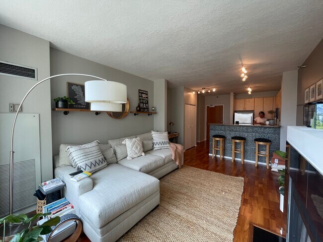 Great open concept with breakfast bar area - 600 N Kingsbury St
