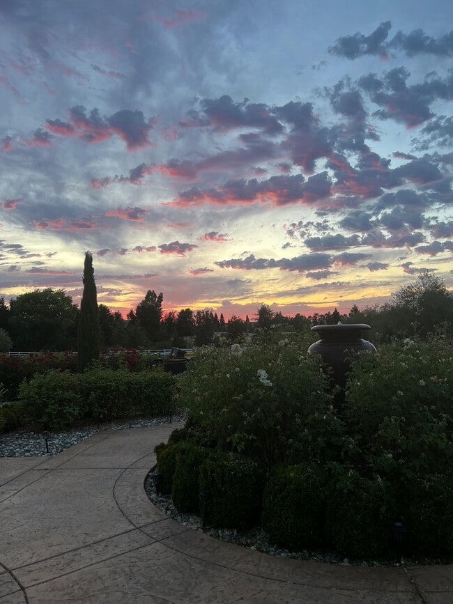 Building Photo - 9839 Trailhead Ct