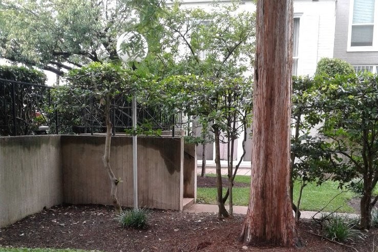 Patio - 293 G St SW