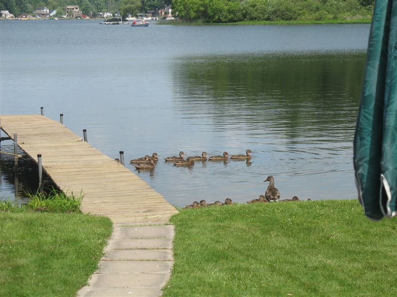 Primary Photo - 22320 Lake Dr