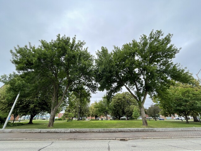 Vista del parque - Park View Apartments