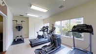 This single-floor fitness room offers a focused environment for cardiovascular exercise. The space is outfitted with several pieces of modern cardio equipment, including multiple treadmills, an elliptical trainer, and a stationary bike, all positioned on protective rubber floor mats. A power tower for bodyweight exercises is also present along the side wall, adding versatility to the workout options available.

The room features neutral, light-toned walls and a light-colored floor, contributing to a clean and open atmosphere. Overhead, flush-mounted fluorescent light fixtures provide consistent, even illumination throughout the space. A large window along one wall allows natural light to enter and offers a pleasant view of surrounding trees and landscaping, creating an inviting workout environment. A secondary smaller window further enhances the natural brightness of the room.

A white door provides access to or from an adjacent area, and ceiling vents ensure adequate air circulation. Overall, the space is efficiently arranged to maximize usability while maintaining an uncluttered, functional aesthetic suited for daily fitness activities.