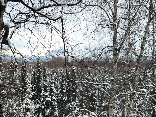 Photo - 1581 Nelchina St Townhome