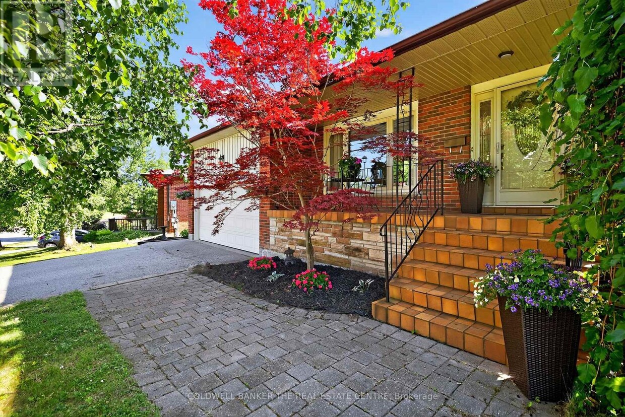 Primary Photo - 204 Alexander Rd
