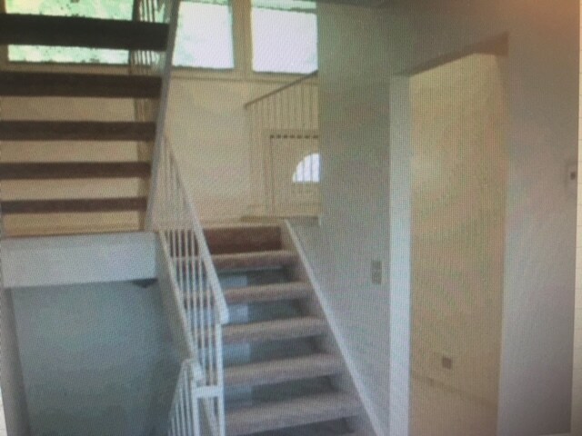 Stair way, entrance to the right - 3781 Red Robin Ln