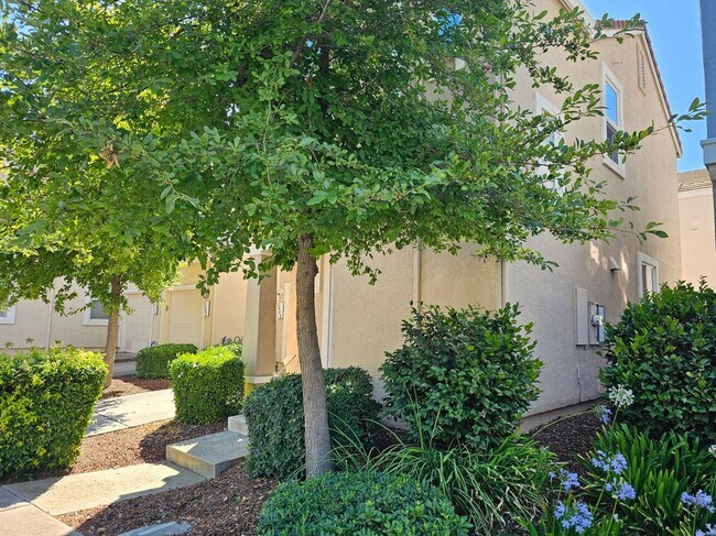 Foto del edificio - 3440 Tice Creek Way