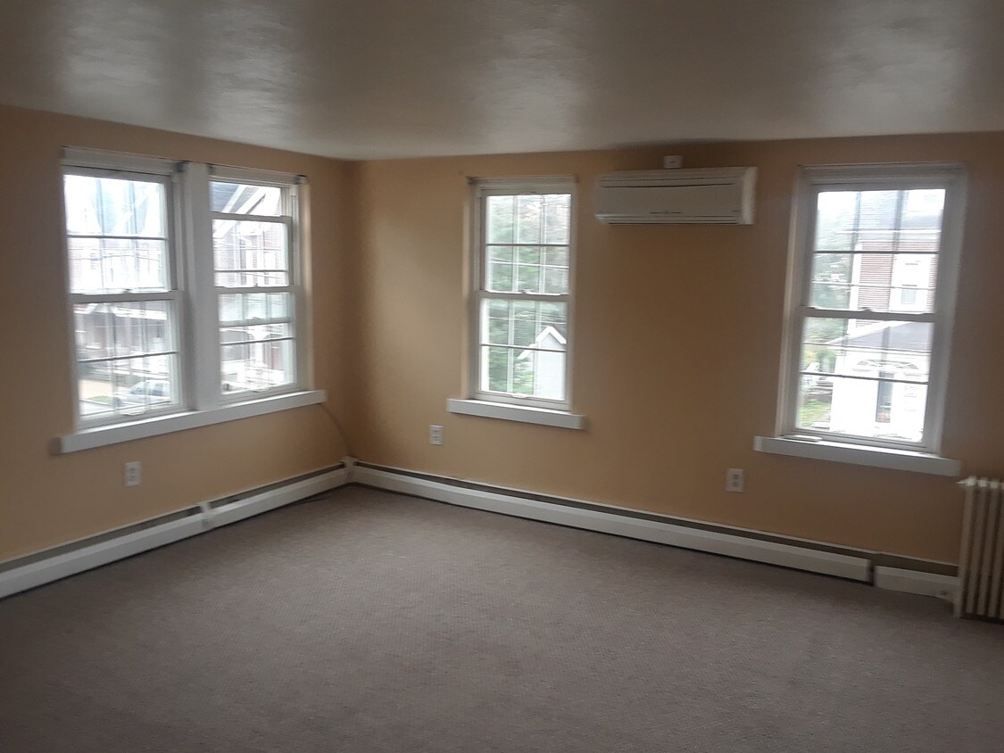 Plenty of Natural light - 423 Bridge St