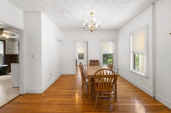 Building Photo - 21 Conwell St