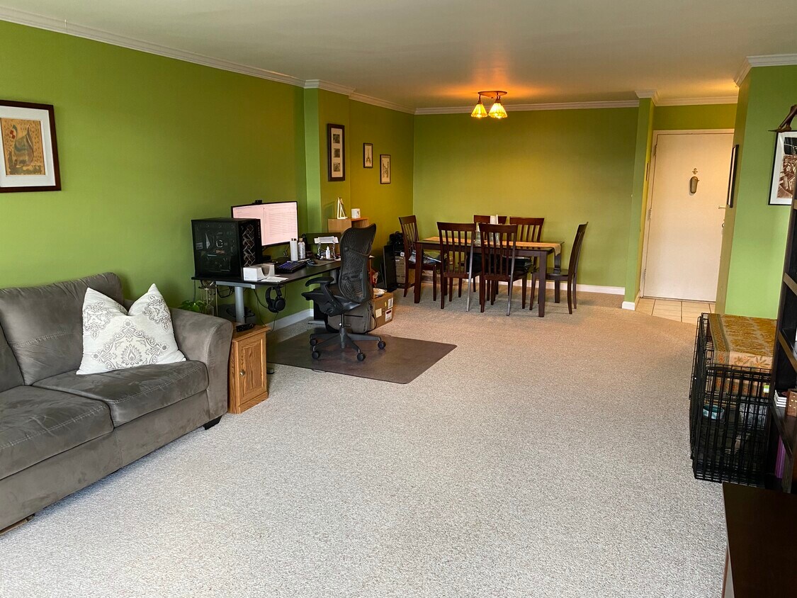 Living Room - 801 N Pitt St