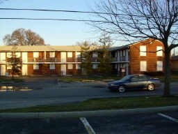 32-36 Viotis Drive - 32 - 36 Viotis Dr