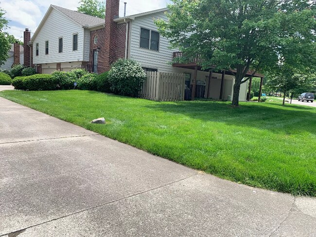 Building Photo - 9165 Cinnebar Dr