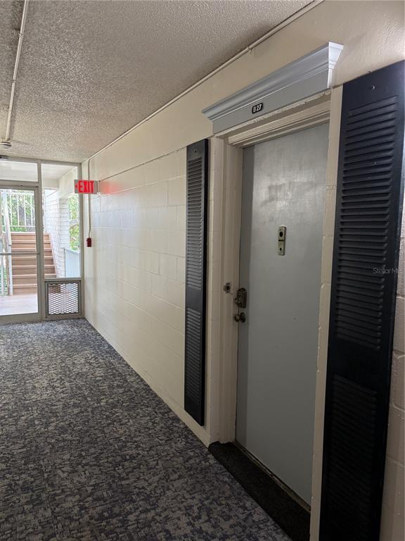 Building Photo - 3325 Bayshore Blvd
