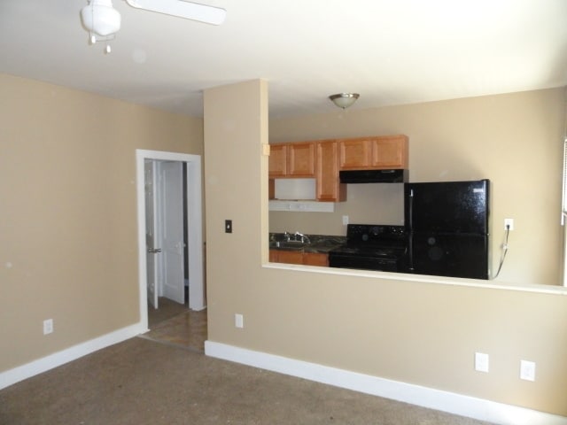  - 219 E Ormsby Ave