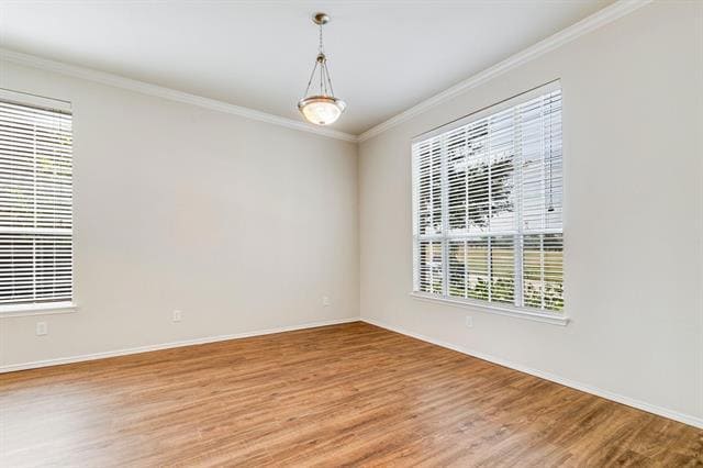 Building Photo - 11570 Beeville Dr
